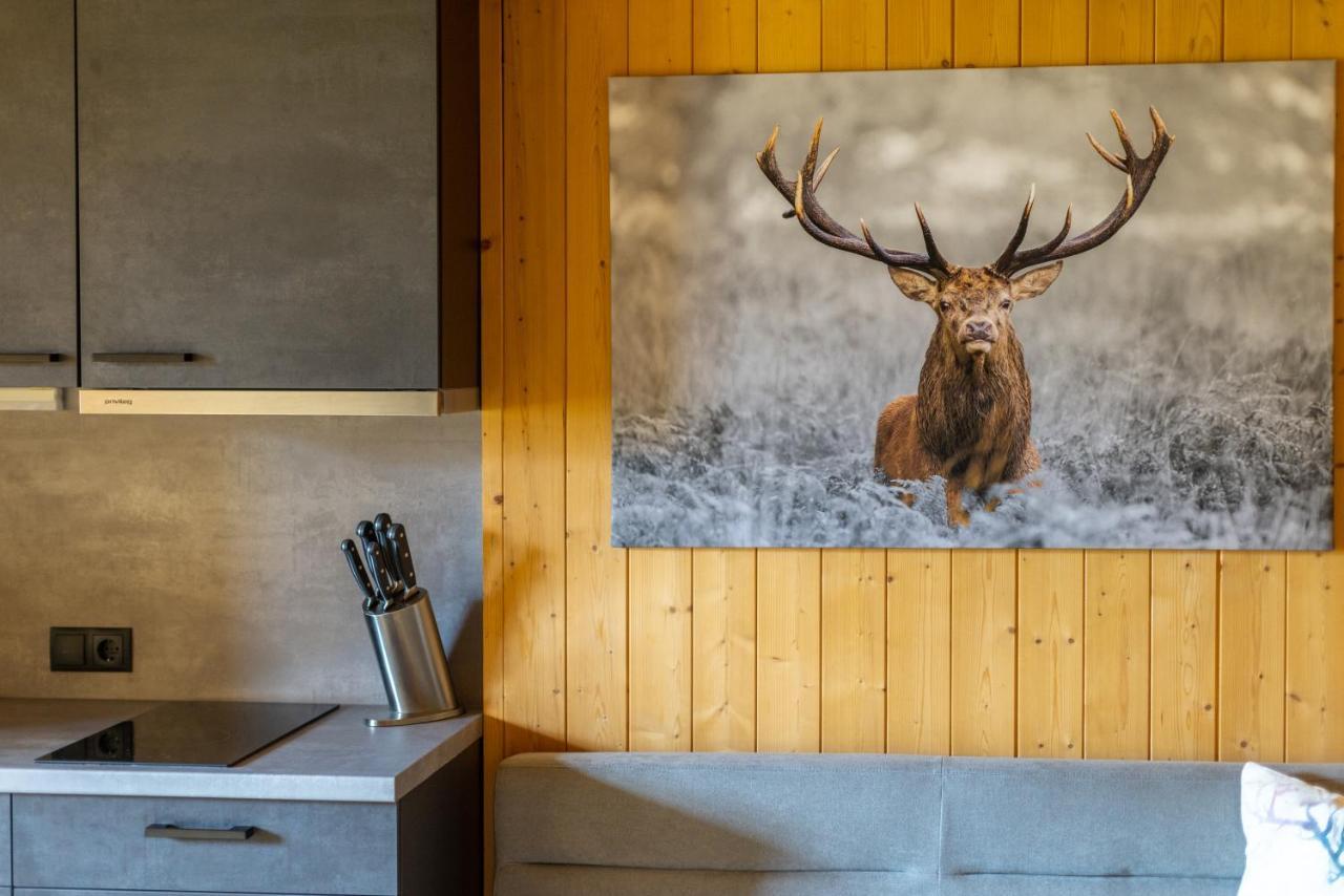 Apartmenthaus Matri By Pferd Auf Wolke Dalaas Zewnętrze zdjęcie